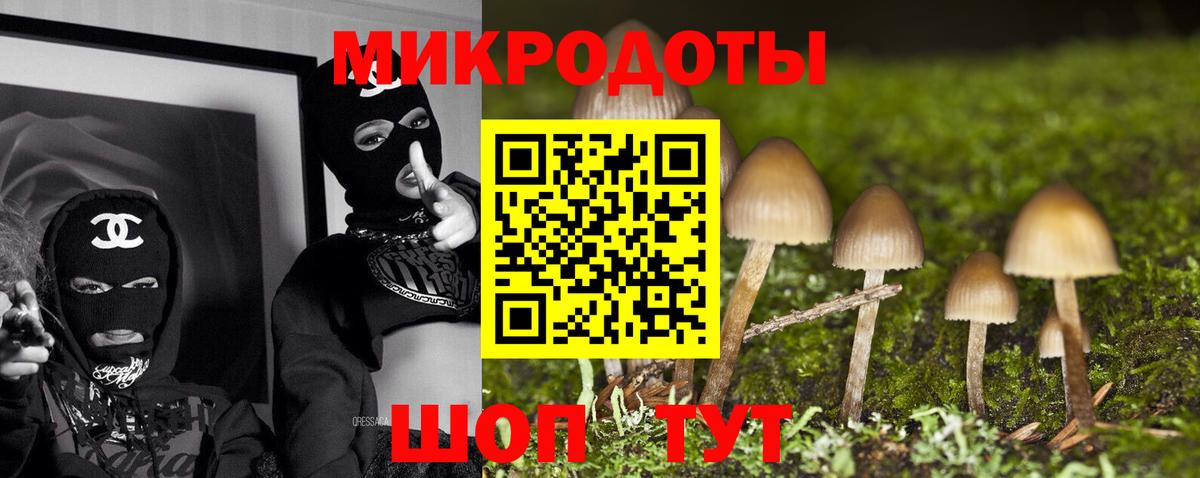 Псилоцибиновые грибы Psilocybe Симферополь